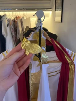 Sale Partykungen Caesar utklädnad