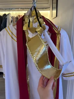 Sale Partykungen Caesar utklädnad