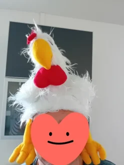 Sale Chicken hat