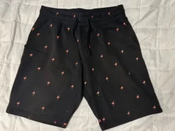 Best FSBN College shortsit