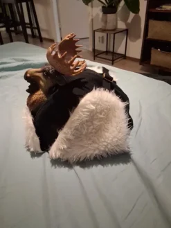 Outlet Hirvi karvahattu