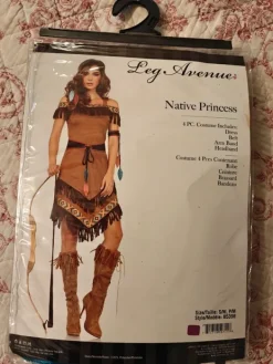 Intiaani naamiaisasu