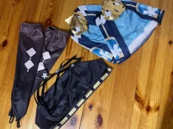 Kirara Cosplay Genshin Impact