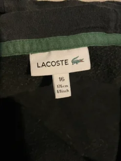 Outlet Lacoste hoodie