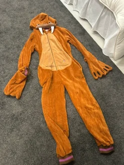 Clearance partyking mursu asu