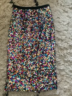 New H&M Paljettihame