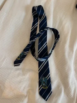 Hot Ravenclaw tie