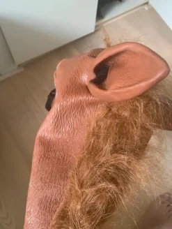 Mask Sjov heste meme til halloween eller fest