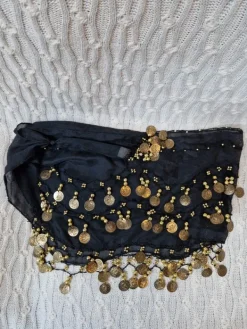 Hot Žvanganti skara su ,,pinigėliais,,vakarėliui, šokiams