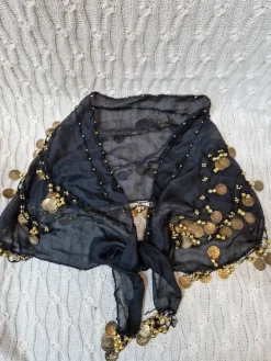 Hot Žvanganti skara su ,,pinigėliais,,vakarėliui, šokiams