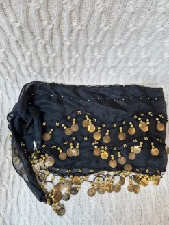 Hot Žvanganti skara su ,,pinigėliais,,vakarėliui, šokiams