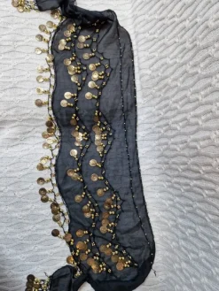 Hot Žvanganti skara su ,,pinigėliais,,vakarėliui, šokiams