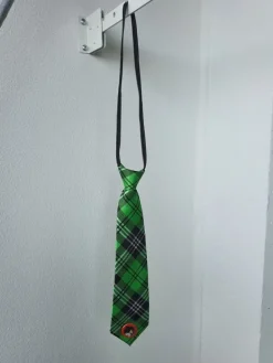 Hot Vihreä kravatti ja j-rock pinssi